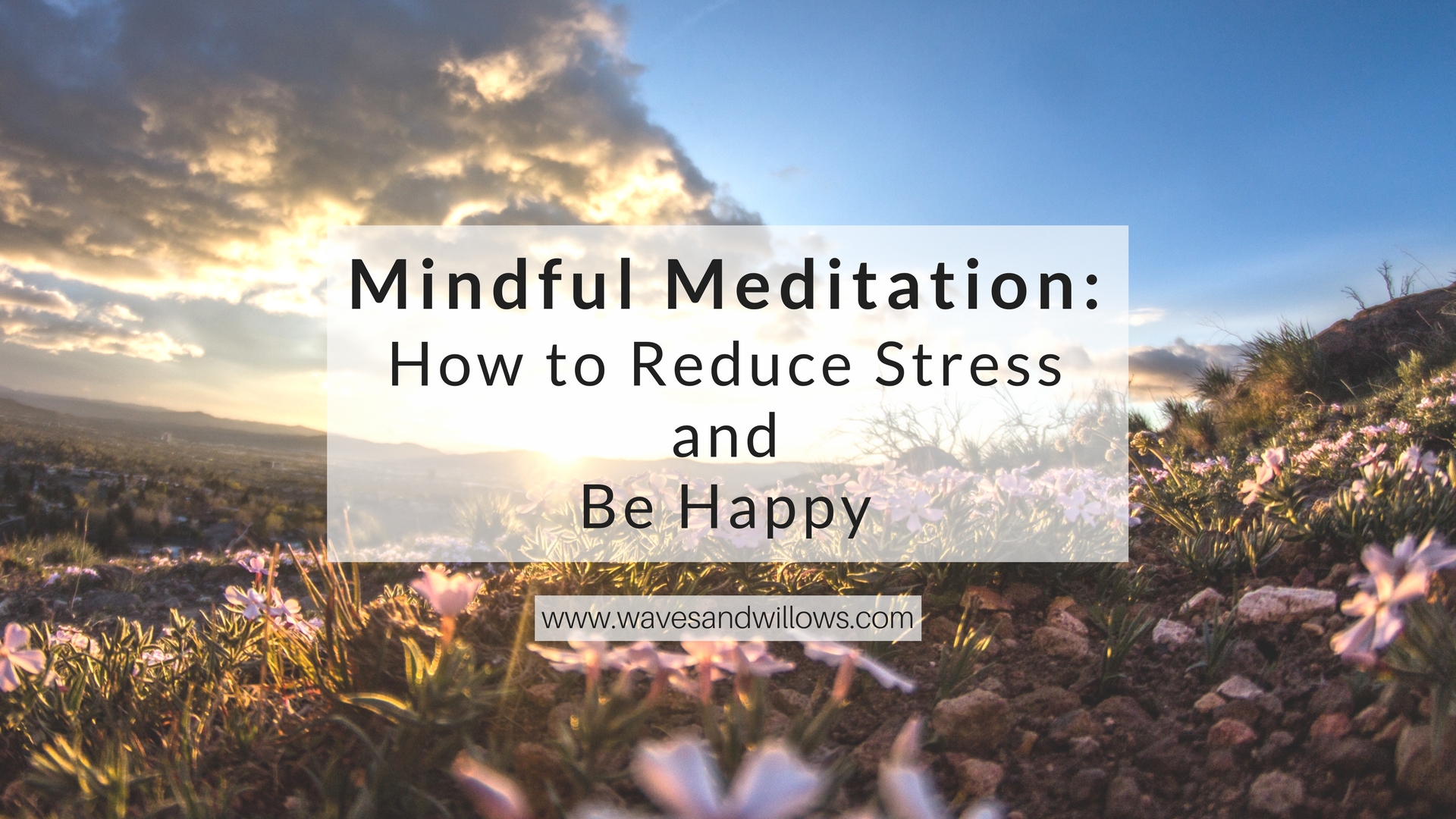 Learn about mindful meditation and how it can reduce stress and improve your life. www.wavesandwillows.com